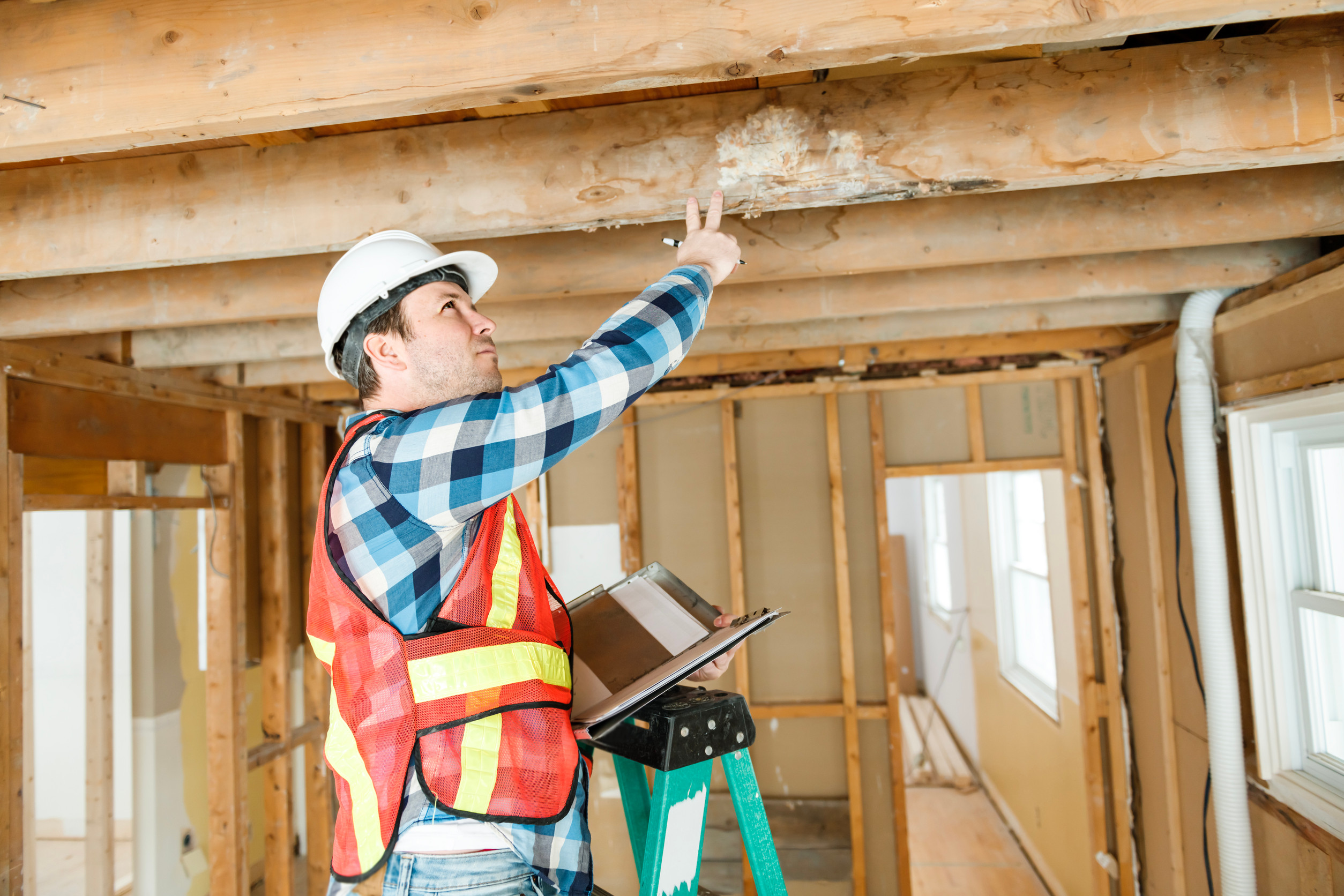 Renovation / Pre-Work Condition Assessment